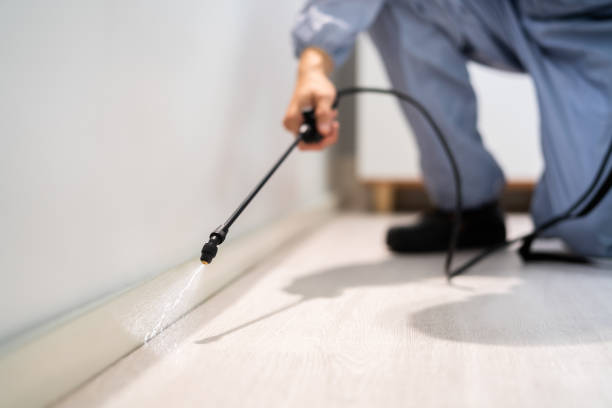 Licensed Pest Control service in Mount Clemens, MI - Show Me Pest Control